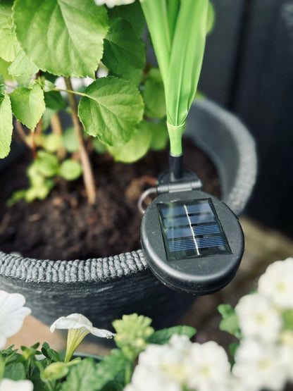 Colorful Solar Garden Lamp