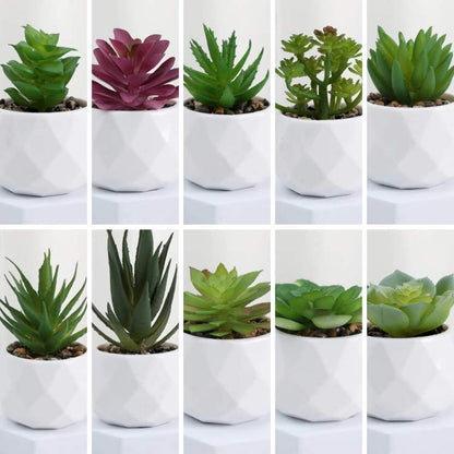 PureLeaf Mini Bonsai Decor - Artificial Plant - Wild Eye Vision