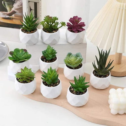 PureLeaf Mini Bonsai Decor - Artificial Plant - Wild Eye Vision