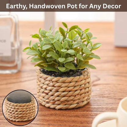 PureLeaf Mini Eucalyptus Plant - Artificial Plant - Wild Eye Vision