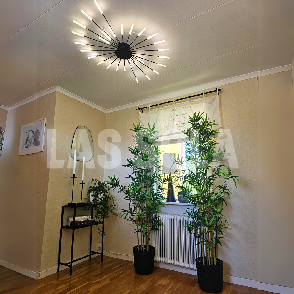 Modern Home Ceiling Light Fixture