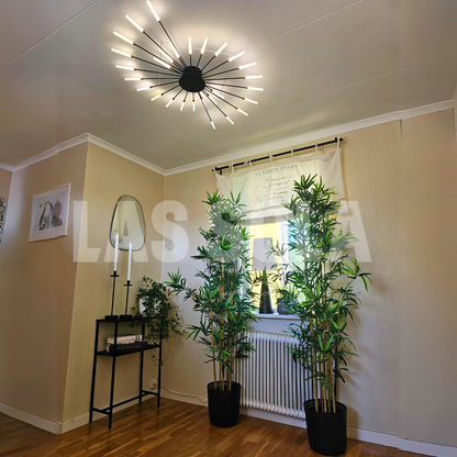 Modern Home Ceiling Light Fixture