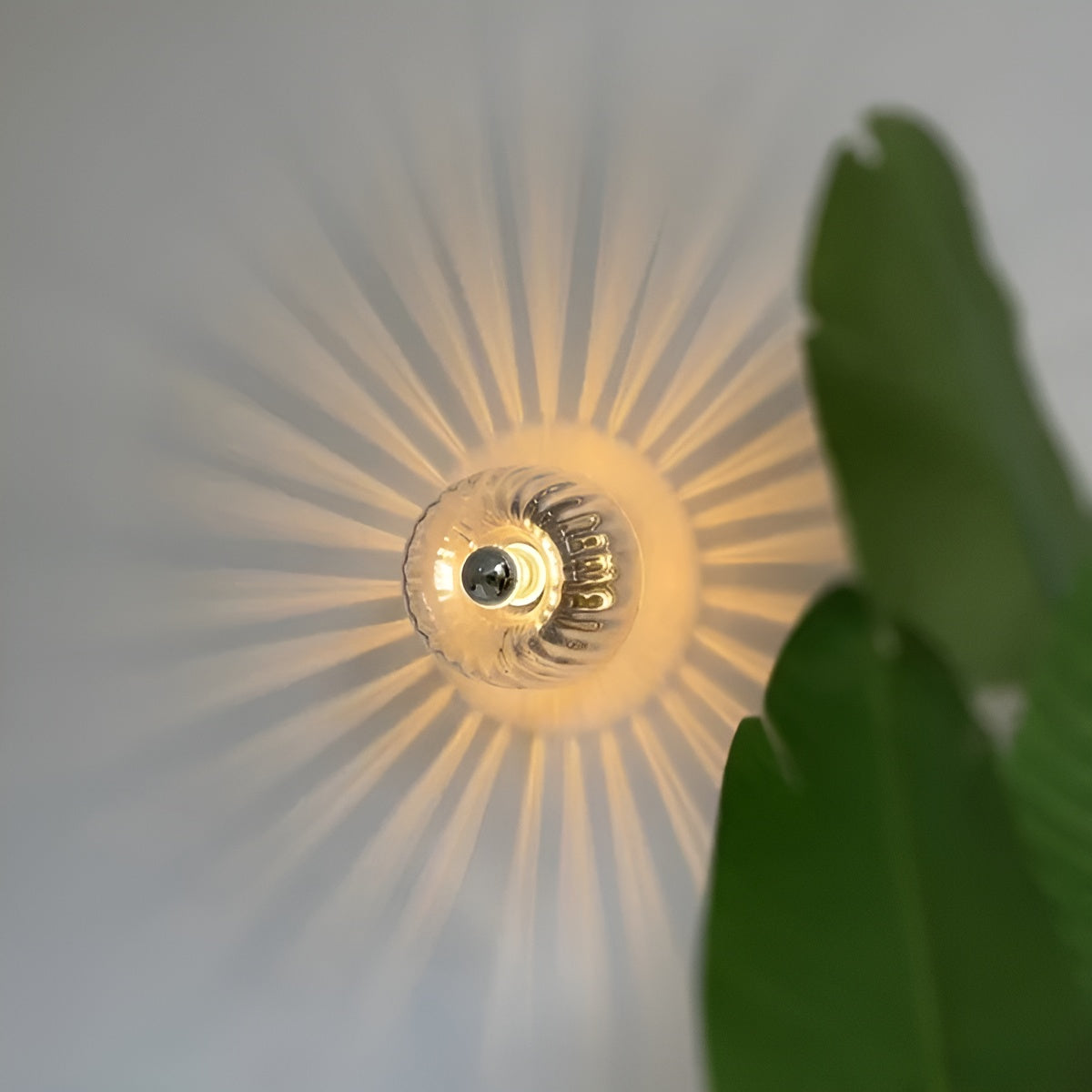 Simple Glass Wall Lamp with Modern Style