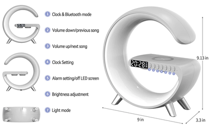 Wireless Charging Bluetooth Portable Speaker