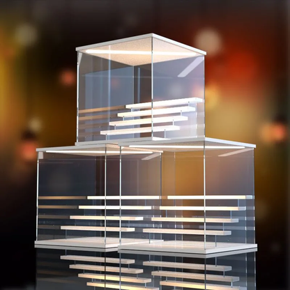 Clear Plastic LED Showcase Box
