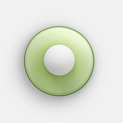 Circular Modern Overhead Ceiling Lamp
