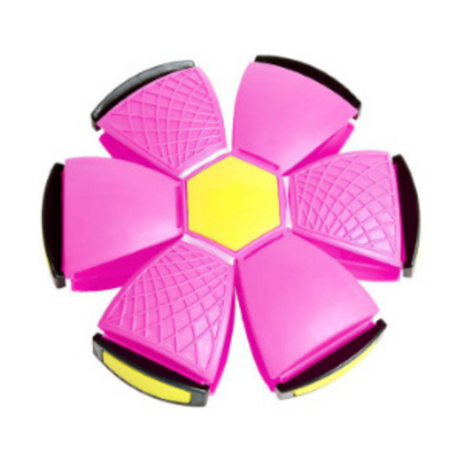 Fun Interactive Bouncing Ball Toy