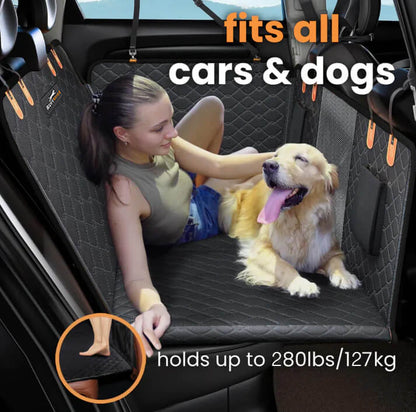 Portable Pet Bench for Easy Travel