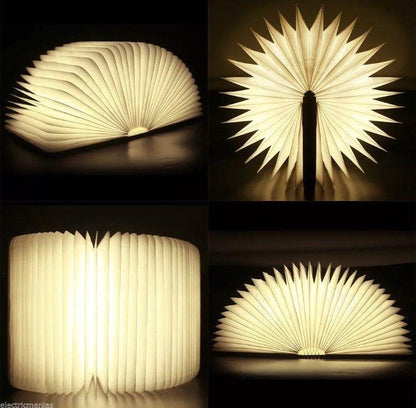 Fesara Compact Folding Book Light