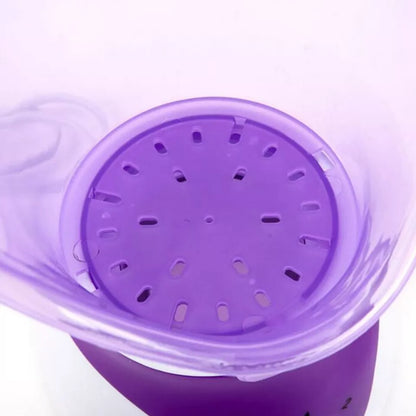 Advanced Facial Steamer for Deep Skin Hydration