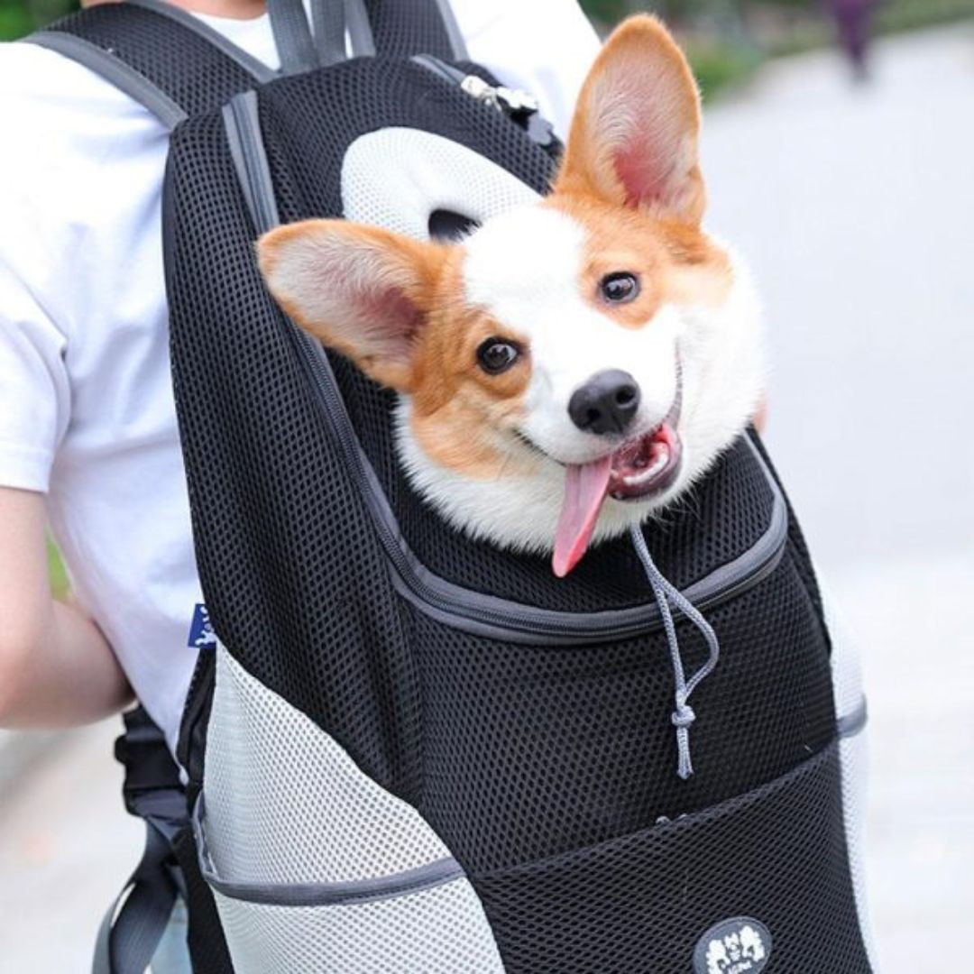 Portable Pet Carrier Bag