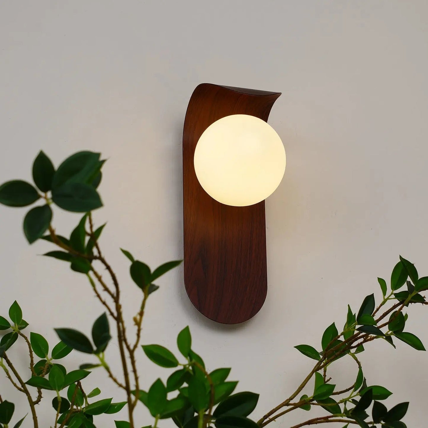 Elegant LED Wall Light