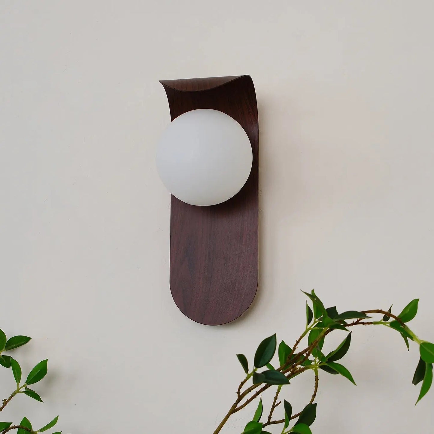Elegant LED Wall Light