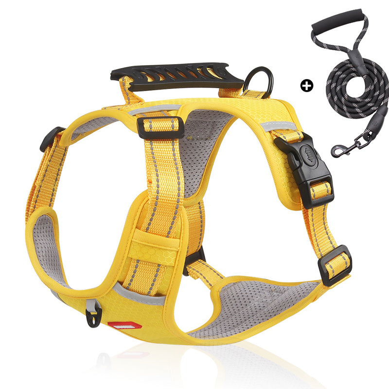 Safe Visible Pet Harness
