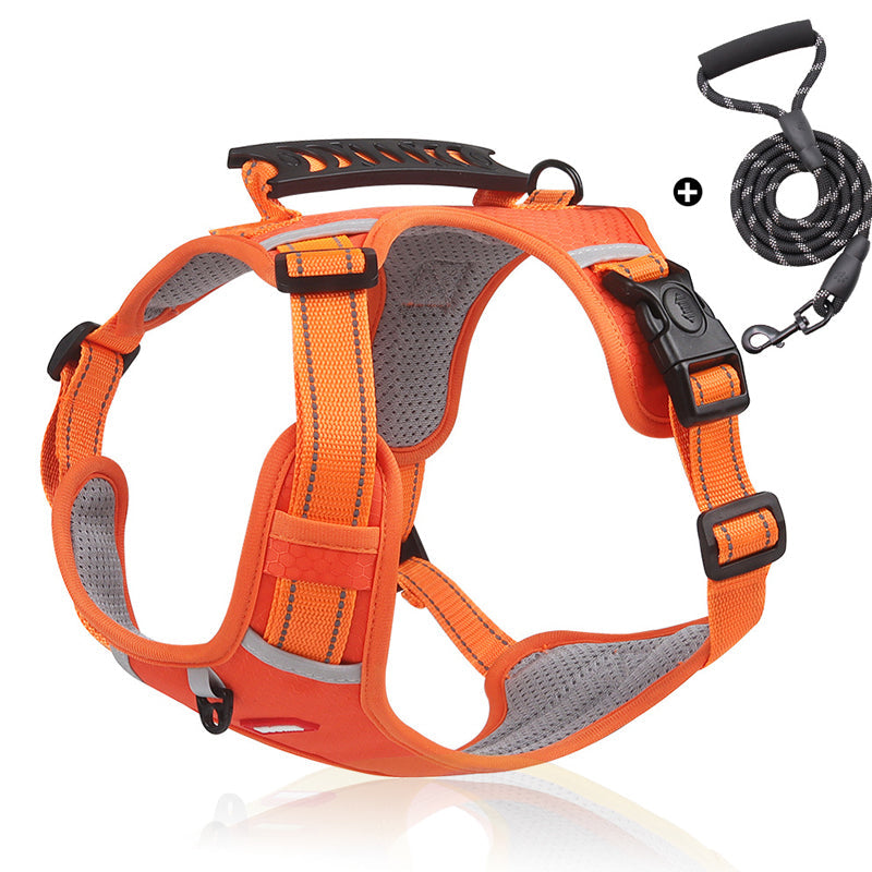 Safe Visible Pet Harness