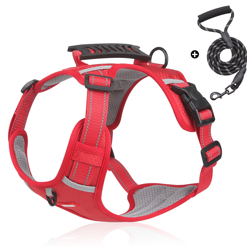 Safe Visible Pet Harness