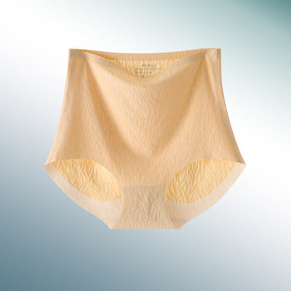 Fesara | Comfortable High Waisted Shaping Briefs