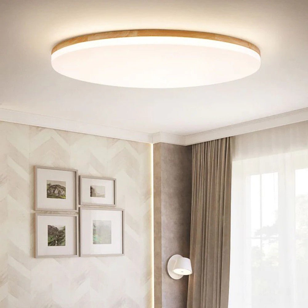 Warm White Energy LED Ceiling Light - Fesara