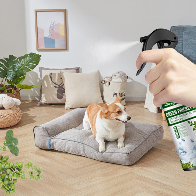 Effective Mite Killer Spray