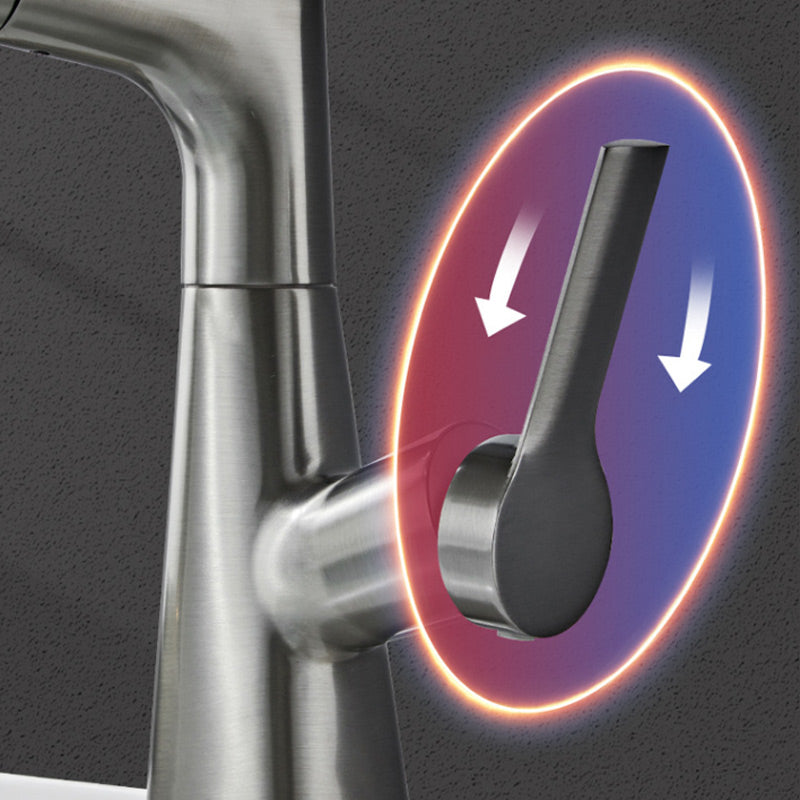 Stylish Kitchen Sink Faucet with Pull-Down Sprayer