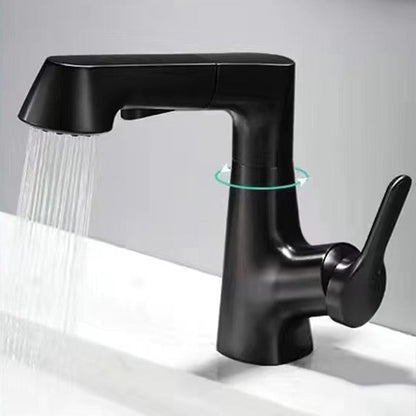 Stylish Kitchen Sink Faucet with Pull-Down Sprayer