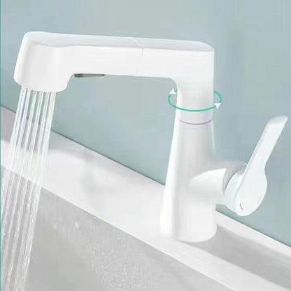 Stylish Kitchen Sink Faucet with Pull-Down Sprayer