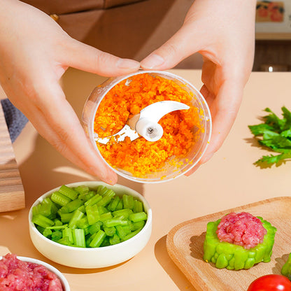 Easy Electric Garlic Food Processor