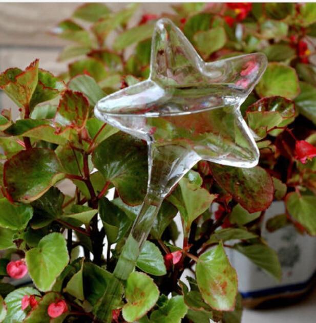 Easy Care Automatic Plant Bulb