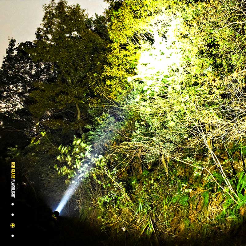 Bright LED Pocket Flashlight Torch