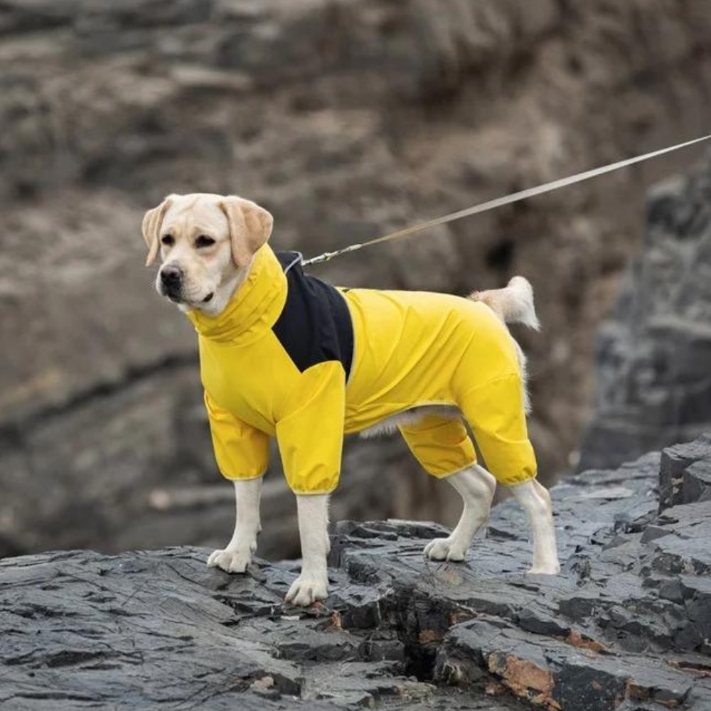 Waterproof Dog Rain Jacket - Fesara