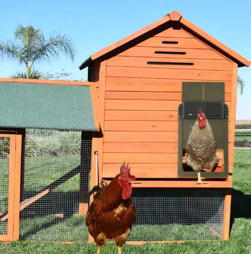 Automatic Chicken Coop Door Opener with Timer and Sensor - Fesara
