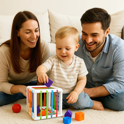 Educational Wooden Shape Sorter Toy