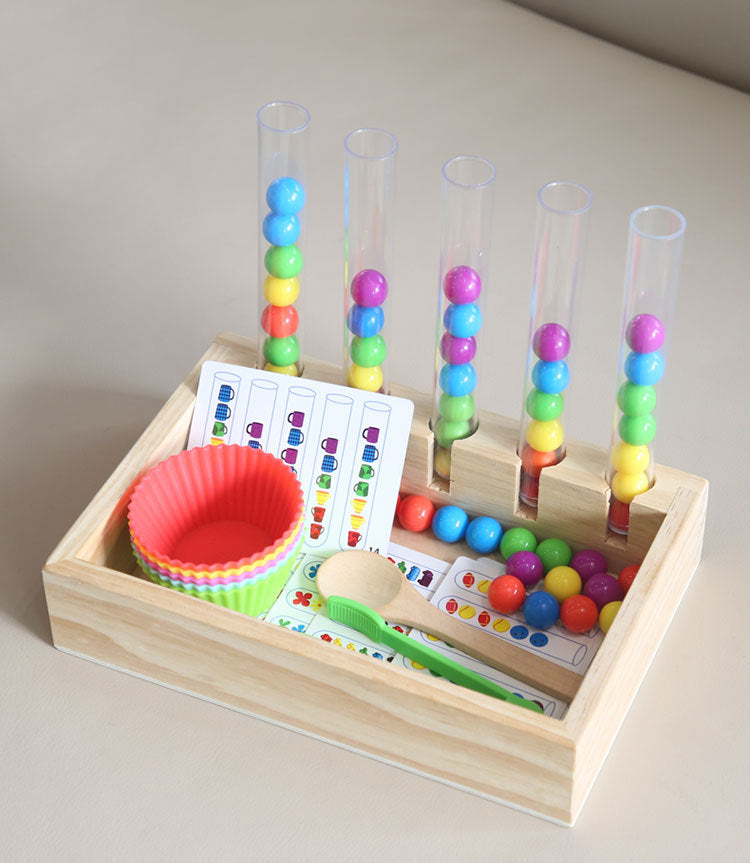 Educational Colour Sorting Learning Kit for Kids