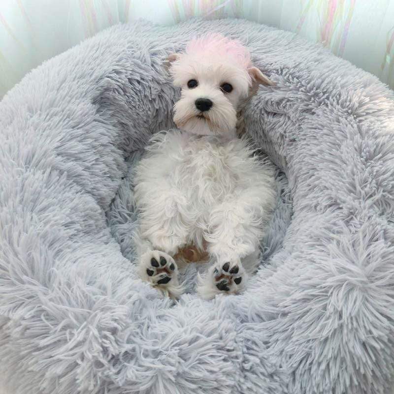 Cozy Dog Bed - Large Size, Machine Washable, Calming Design Mimics Mother’s Fur for Ultimate Comfort and Relaxation-4
