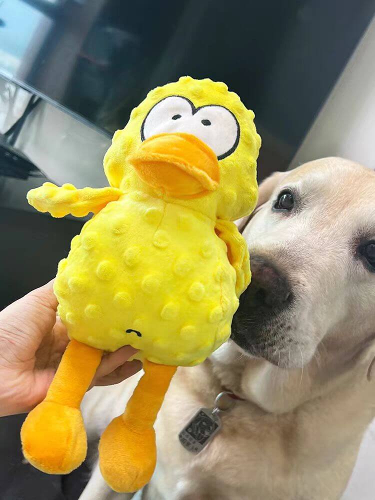 Fun Interactive Dog Chew Toy