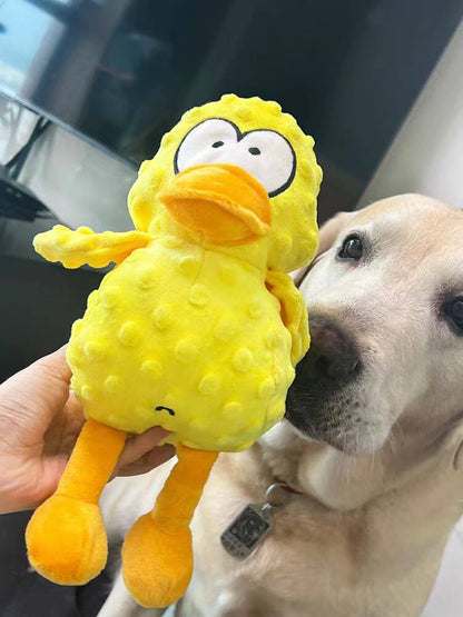 Fun Interactive Dog Chew Toy