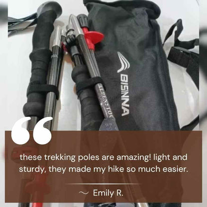 TrailMate Ultra - Light Trekking Poles - Trekking Poles - Wild Eye Vision