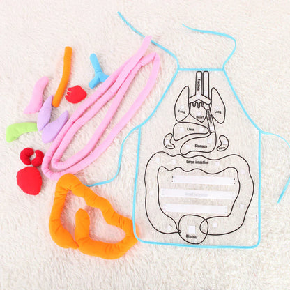 Fun Human Body Apron for Kids