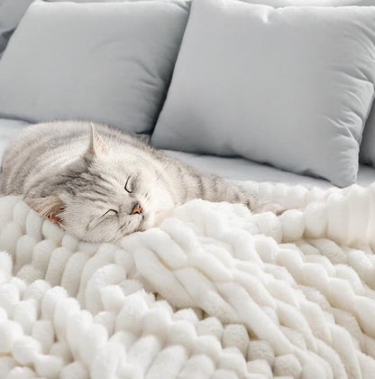 Soft Plush Twin Fleece Blanket Set