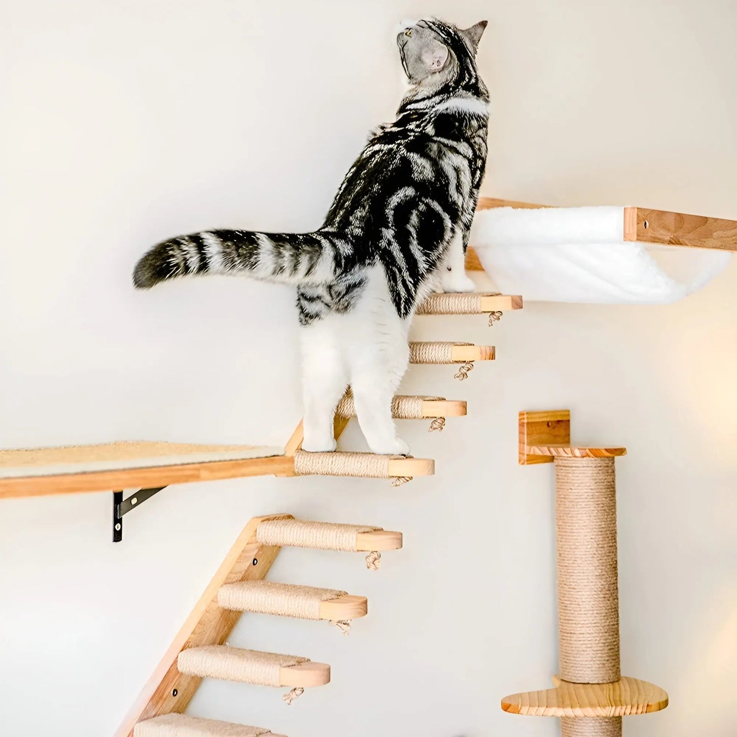 Cat Climbing Wall Shelf with Scratch Post
