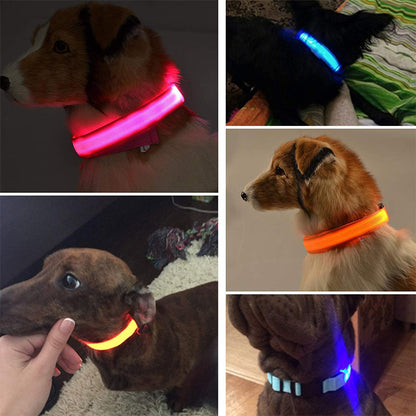 Luminous Pet Collar with LED Light – Rechargeable, Water-Resistant, Adjustable Fit for Enhanced Nighttime Safety-3