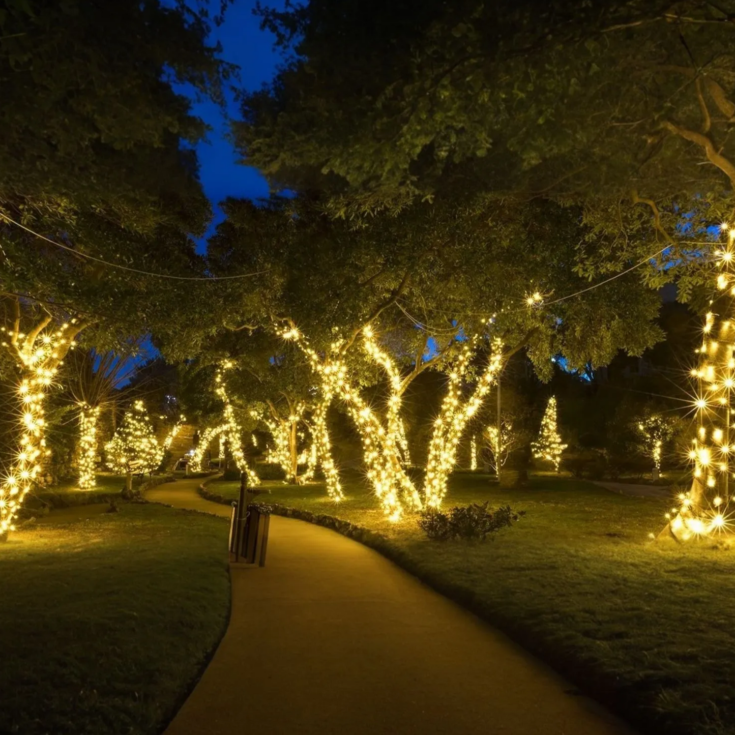 Waterproof Solar String Lights for Yard and Patio