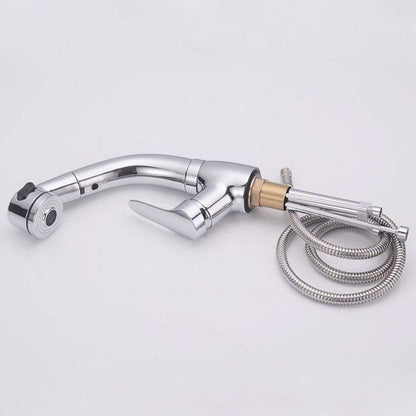 Fesara | 360 Rotation Shower Faucet