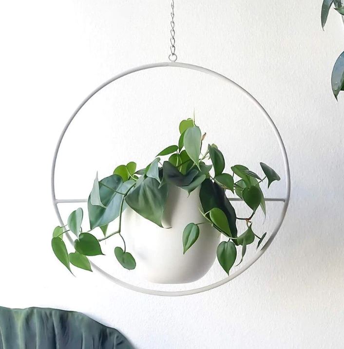 Modern Plant Hangers for Home Decor