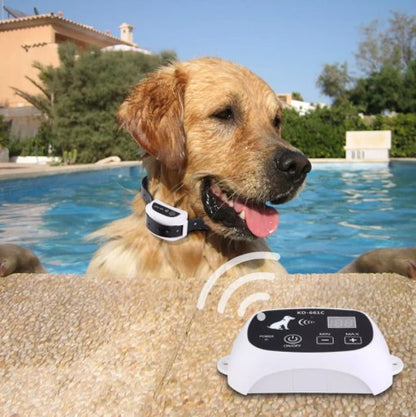 Easy Dog Training Collar System Waterproof Rechargeable