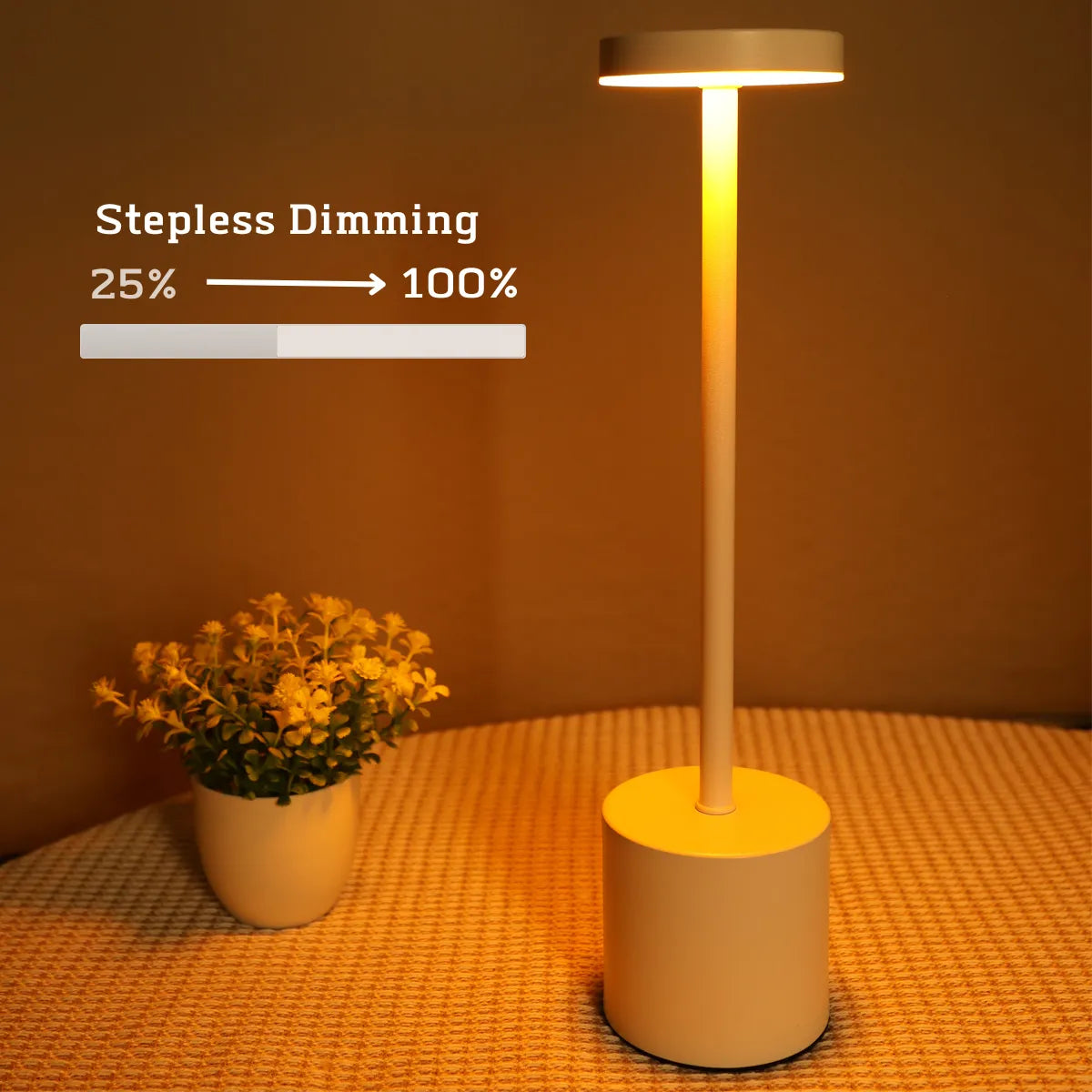 Slim Metal Rechargeable Desk Lamp