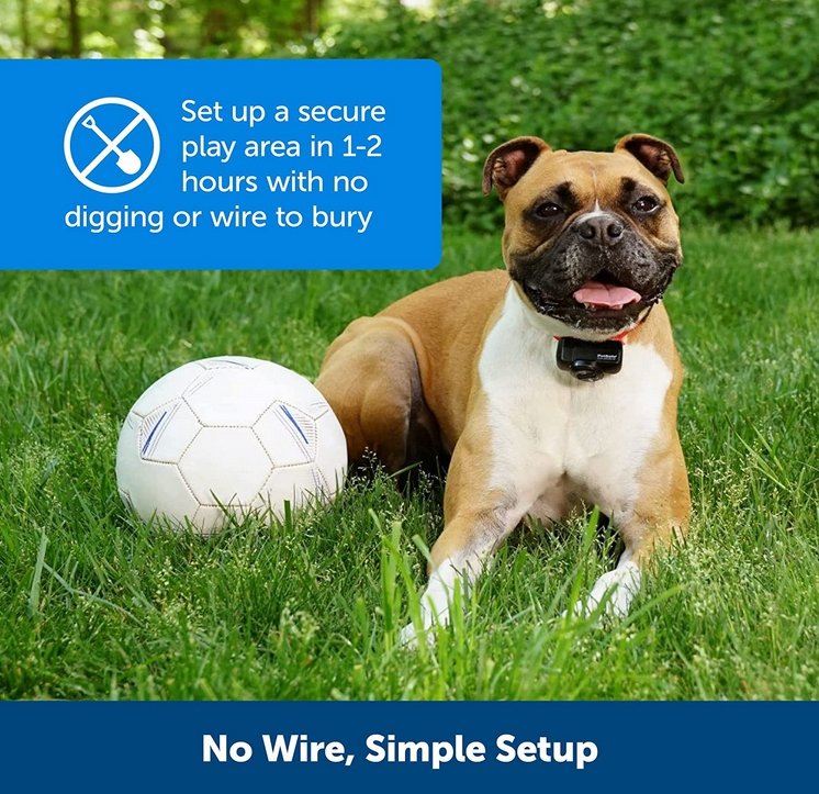 Easy Dog Training Collar System Waterproof Rechargeable