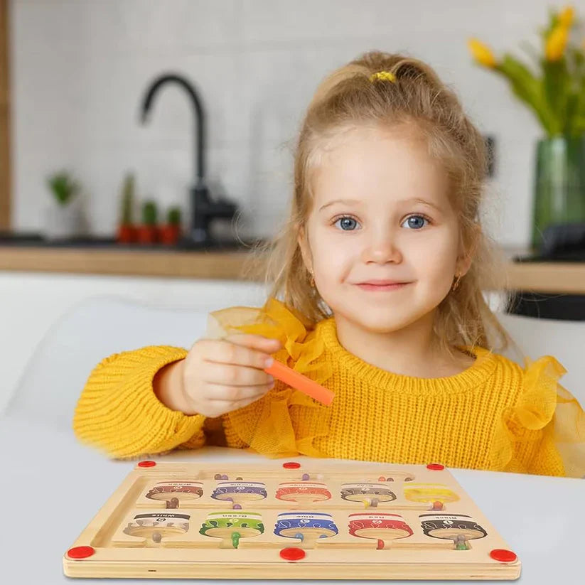 Educational Magnetic Maze Toy