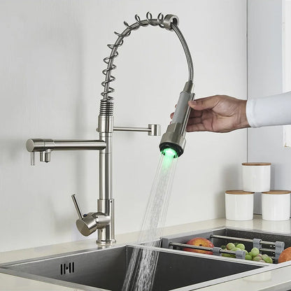 Dual Function Kitchen Sink Faucet